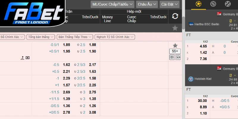 Tỷ lệ kèo chuẩn, thông tin người chơi cần nắm bắt khi cá cược