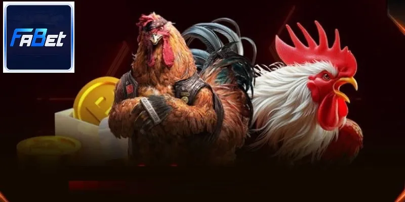 Nhà cái đá gà nổi bật, trả thưởng nhanh chóng